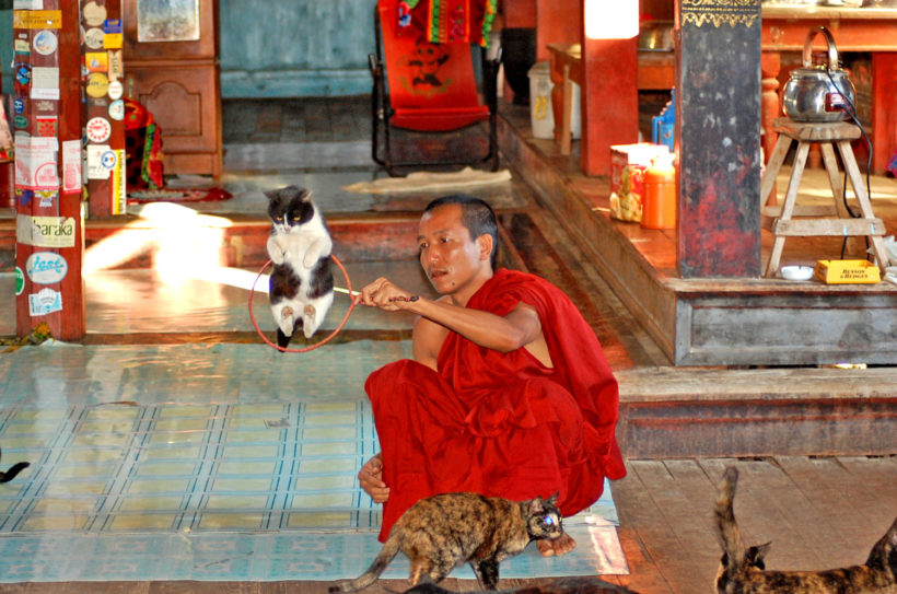 moench-am-inle-lake-Nga-Pha