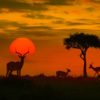 06ed5245-kruger-national-park-lodges-scaled