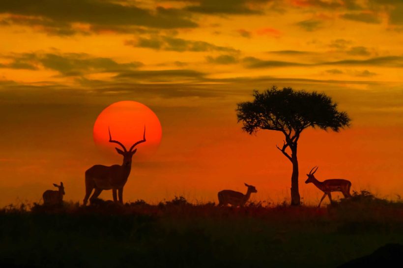 06ed5245-kruger-national-park-lodges-scaled