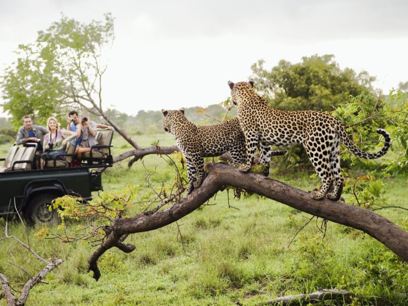 GettyImages-104329693-5a27e55e980207003656238e