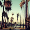 Los-Angeles-©Songquan-Deng-shutterstock