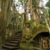 Ubud-Monkey-Forest-Tree-750×563