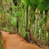 VALLE DE MAI