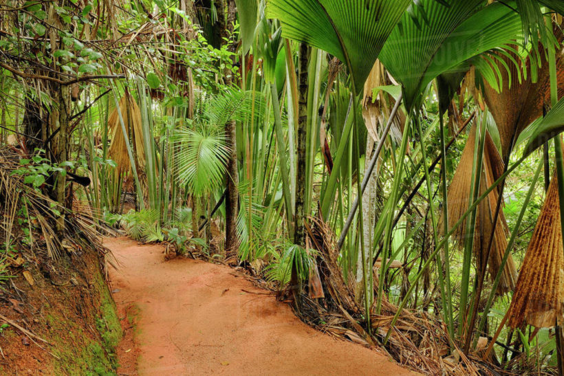 VALLE DE MAI