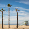 losangeles-beach-venice-palmtrees-lifeguard