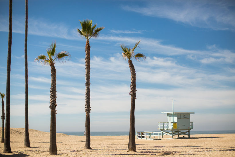 losangeles-beach-venice-palmtrees-lifeguard