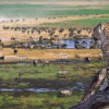 serengeti_wildlife
