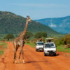 tsavo-national-park-1