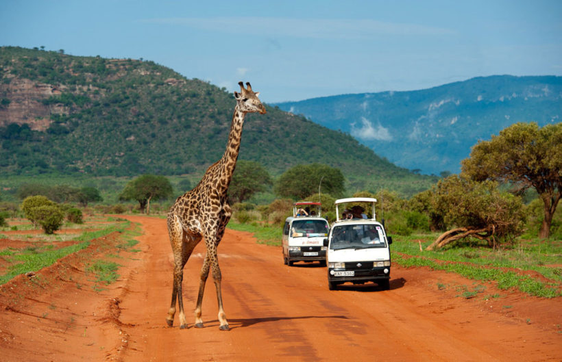 tsavo-national-park-1