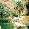 wadi-shabba3100e413a06dce84b1ff000062a8f2