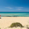 mare sicilia 333
